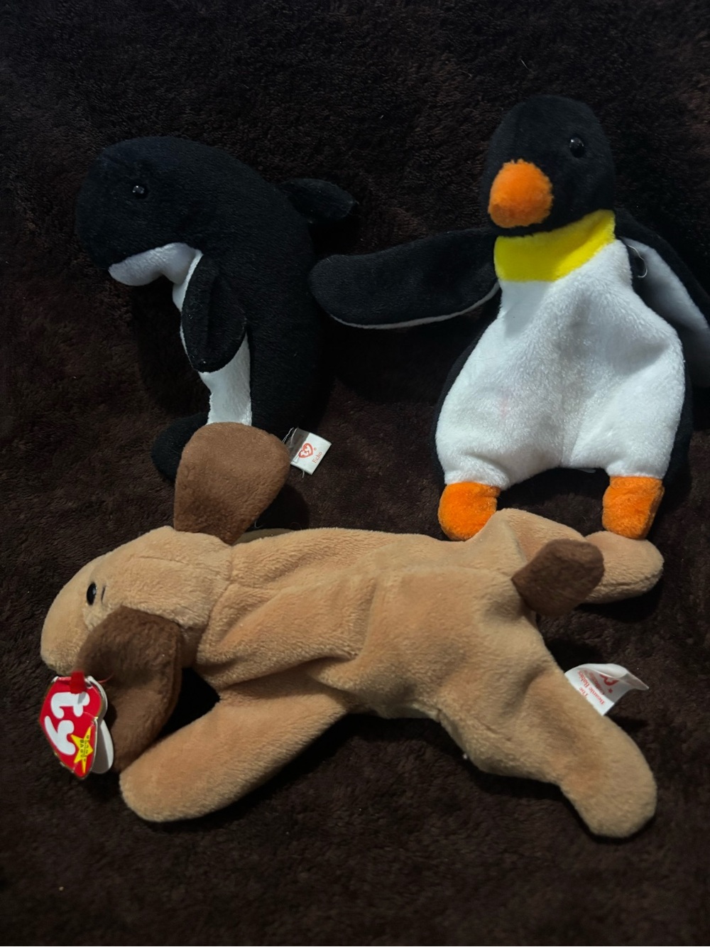 Ty cutePlush Trio - Black Orca not tag ,  black Penguins w/tag, Brown Dog w/tag